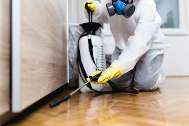 Best Best Pest Control Companies  in Wells, MN