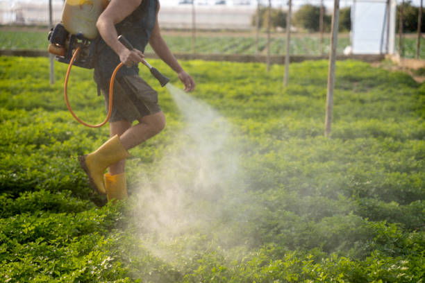 Best Exterminator Services  in Wells, MN